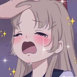 川普不懂车 头像