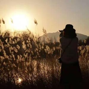 生活之美鑫淼 头像