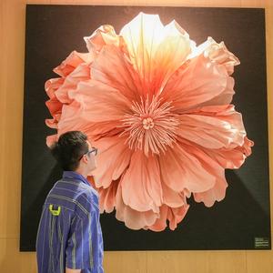 湾湾的吃喝玩乐 头像