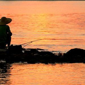 钓鱼王（林哥） 头像