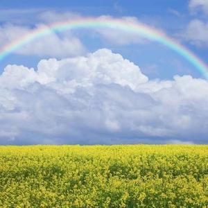 乳惠宝咨询师乐健 头像