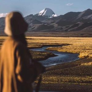 绿色食品健康分享 头像