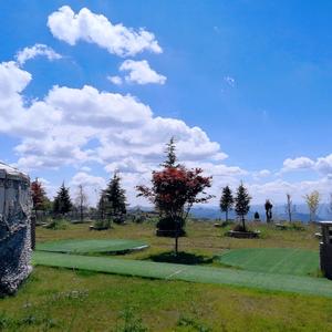 聪颖说八卦 头像