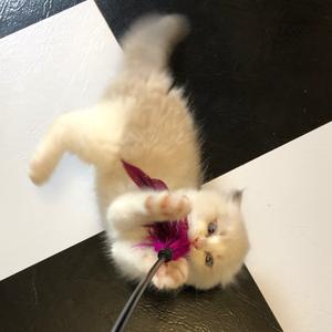 花夏数娱应用推荐 头像