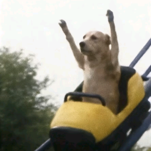 牛马快乐日 头像