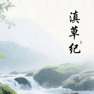 滇草纪 头像