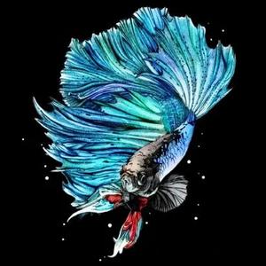 泰斗小玩家 头像