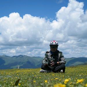 西瓜讲数学 头像