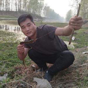 豫东小老五 头像