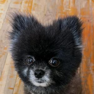 蓝色海魂衫大叔 头像