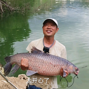 餐条哥寻好物头像