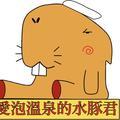 愛泡溫泉的水豚君 头像