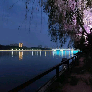 我就是猛哥 头像