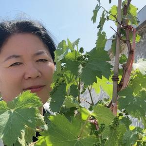 大河耕心 头像