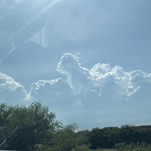 纯纯爱分享 头像