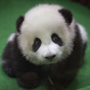 闲聊也是种乐趣 头像