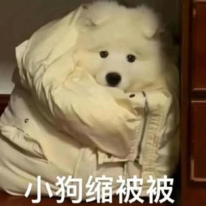 在海边一个人头像