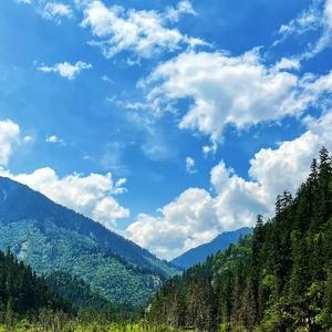 洛克菲迷奋力向前 头像