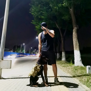 那只鱼的猫 头像