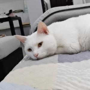 潇洒东海堂 头像