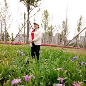 梦之蓝（拒绝私聊） 头像