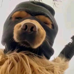 力哥送欢乐 头像