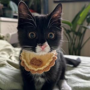 蹲了个墩墩 头像