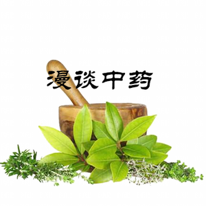 当归远志不丹参 头像