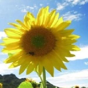 老谭爱唠嗑 头像