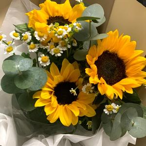 岁月小山河 头像