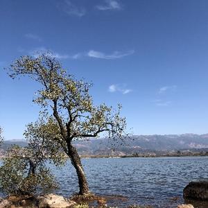 仰观沧海一粟