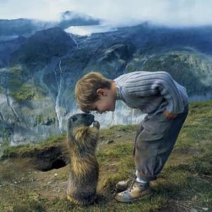 冲呀小二哥 头像