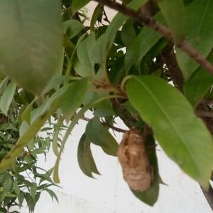 鑫能源勇向前