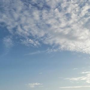 蒙泉细流