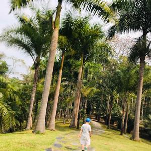 上进山丘Jnt 头像