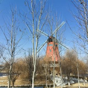 远山深处一小草 头像