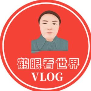 鹤眼看世界vlog头像