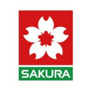 SAKURA樱花 头像