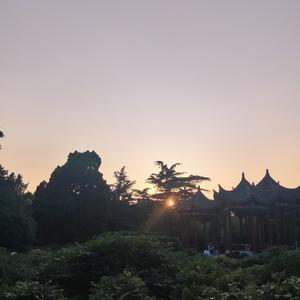 小艾聊足球 头像