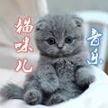 猫咪儿音乐头像