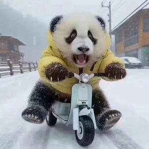 王者荣耀君寻 头像