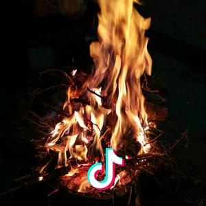 爱闲逛的慢腾腾 头像