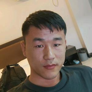 杨仔的货运生活 头像