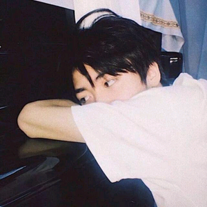 等风的飞鸟 头像