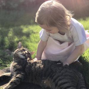 打开一扇窗 头像