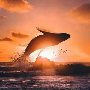 财富读书笔记 头像