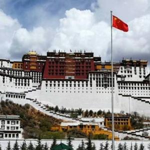 清风小猪zhu 头像