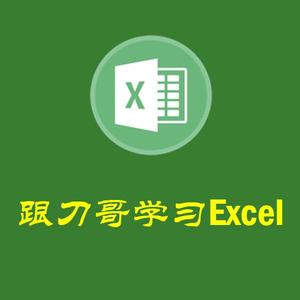 刀哥学习Excel头像