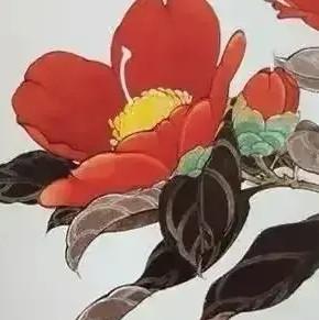 快乐小鱼Wa