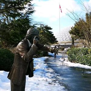 自由而无用的半张 头像